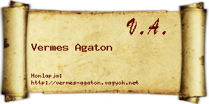 Vermes Agaton névjegykártya